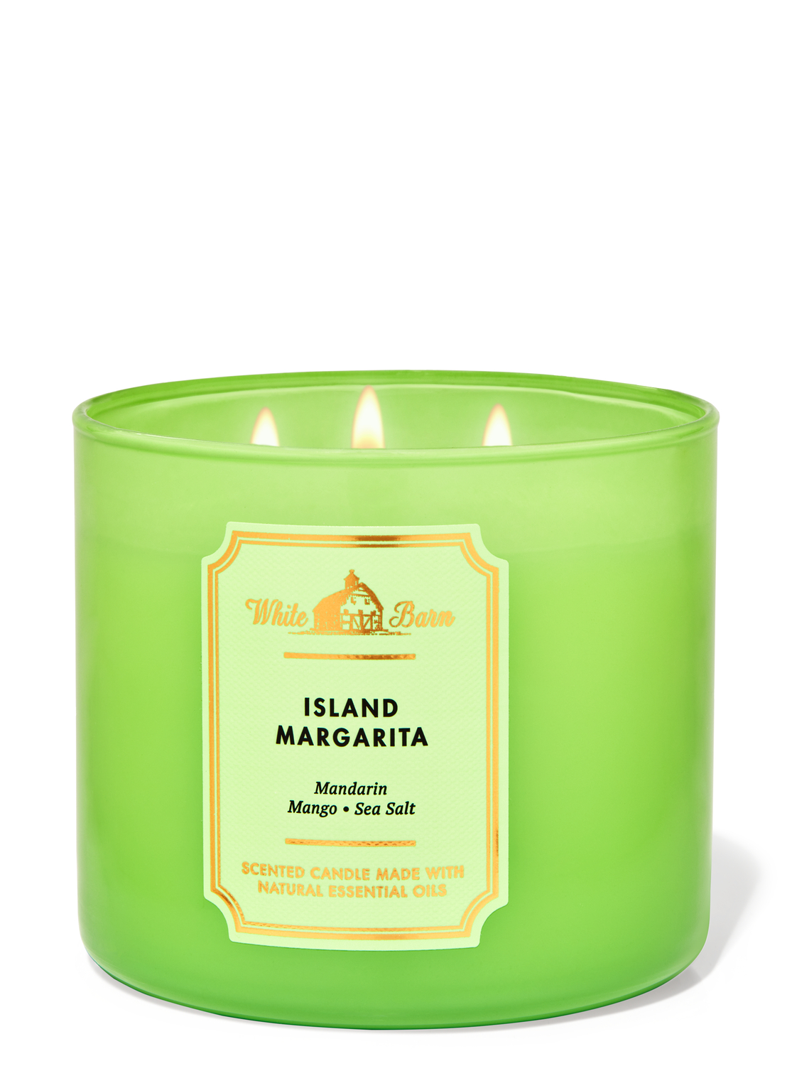 bath and body works margarita candle