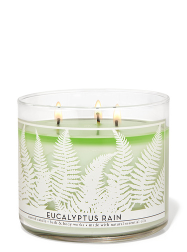 Bath and body works eucalyptus mint and rain candle